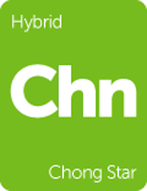 Leafly "Chong Star" hybrid cannabis strain tile