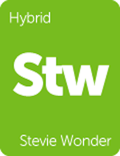 Leafly "Stevie Wonder" hybrid cannabis strain tile