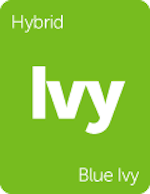 Leafly "Blue Ivy" hybrid cannabis strain tile