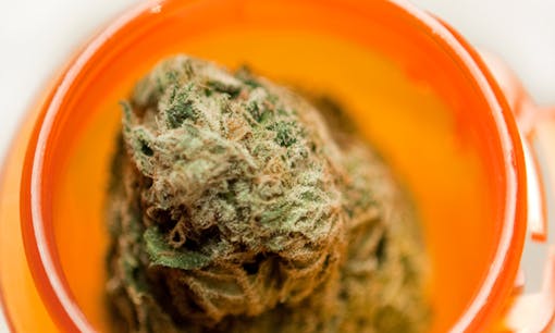 Cannabis in prescription jar