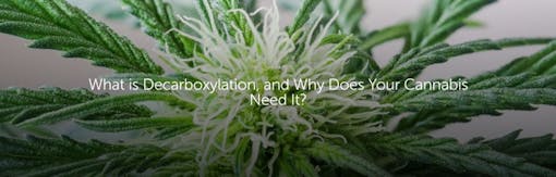 What is Decarboxylation, and Why Does Your Cannabis Need It?