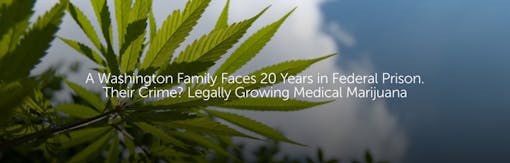 A Washington Family Faces 20 Years in Federal Prison. Their Crime? Legally Growing Medical Marijuana