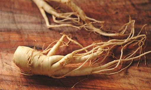 ginseng,leafly,cannabis