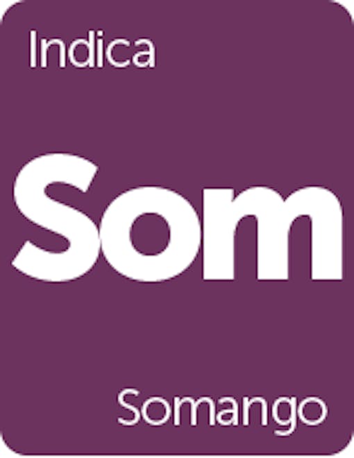 Leafly Somango cannabis strain tile