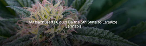 Massachusetts Could Be the 5th State to Legalize Cannabis