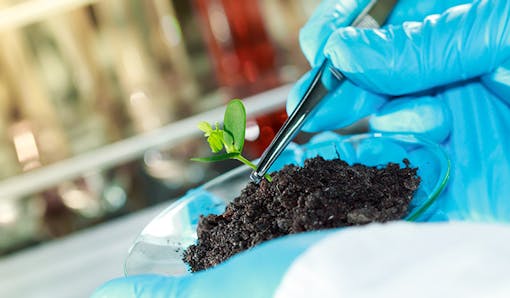 Plant studies for research and education