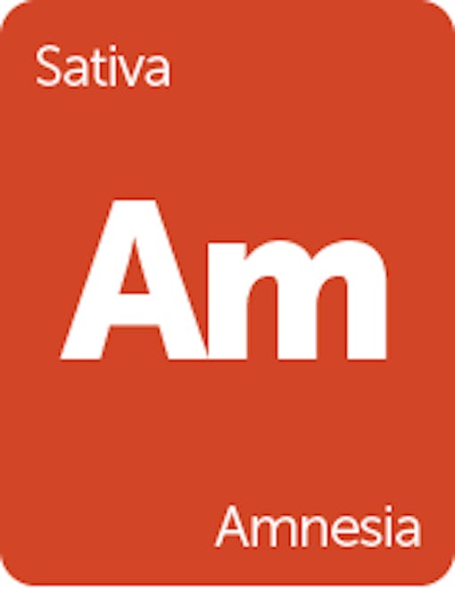 Leafly Amnesia cannabis strain tile