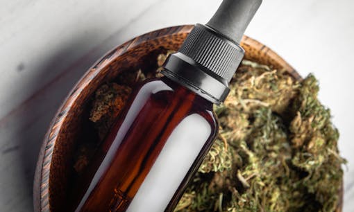 Cannabis tincture