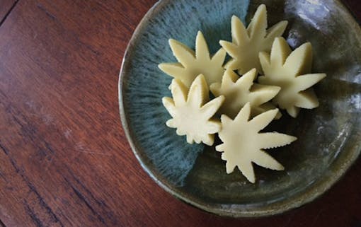 Indica Sanctuary Etsy shop