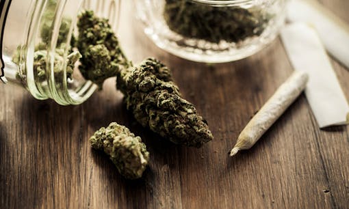 Dried cannabis flower and rolled joint on table