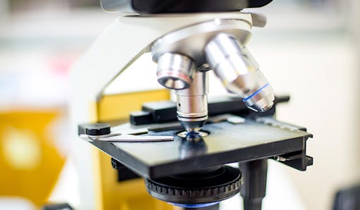 Lab microscope