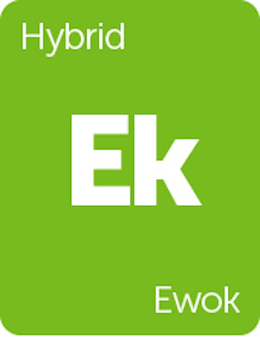 Leafly Ewok cannabis strain tile