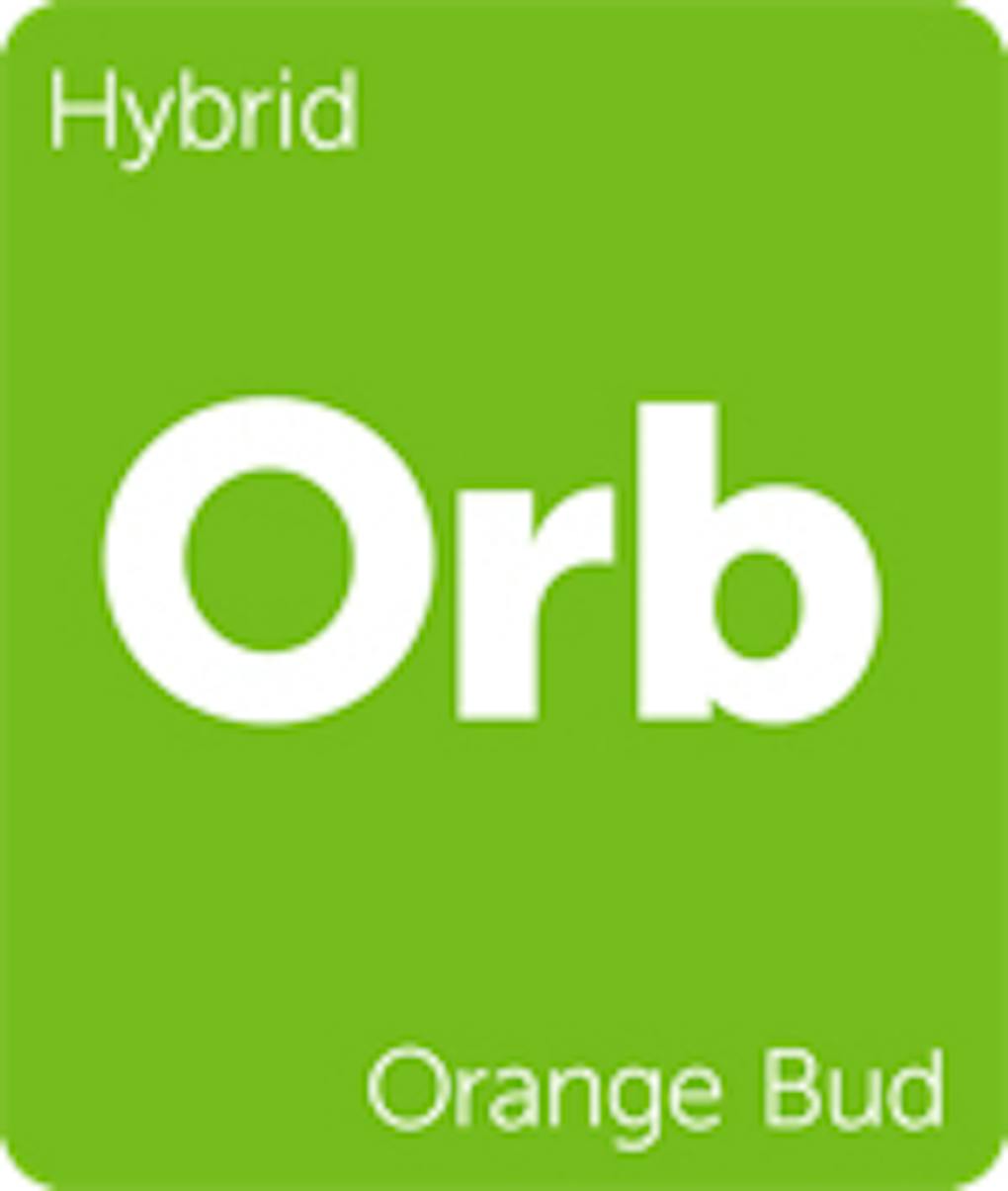 7 Cannabis Strains That Will Make You Appreciate the TRex Leafly