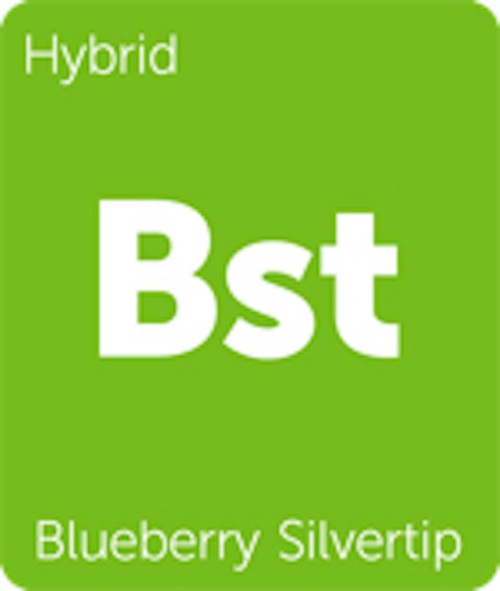 7 Cannabis Strains That Will Make You Appreciate the TRex Leafly