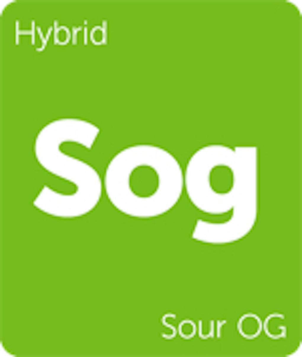 7 Cannabis Strains That Will Make You Appreciate the TRex Leafly