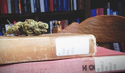 Cannabis with textbooks