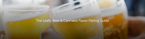 The Leafly Beer & Cannabis Pairing Guide