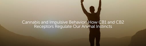 Cannabis and Impulsive Behavior: How CB1 and CB2 Receptors Regulate Our Animal Instincts