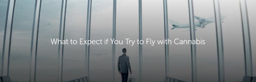 What to Expect if You Try to Fly with Cannabis