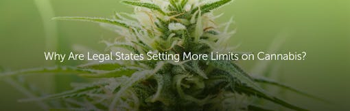 Why Are Legal States Setting More Limits on Cannabis?