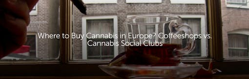 Where to Buy Cannabis in Europe? Coffeeshops vs. Cannabis Social Clubs