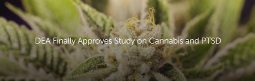 DEA Finally Approves Study on Cannabis and PTSD