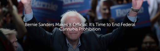 Bernie Sanders Makes It Official: It's Time to End Federal Cannabis Prohibition