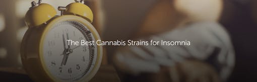 The Best Cannabis Strains for Insomnia