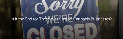 Is It the End for These Washington Cannabis Businesses?
