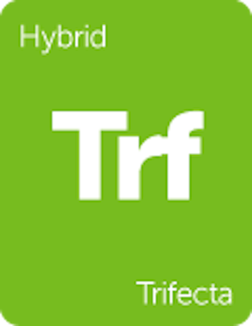 Leafly "Trifecta" hybrid cannabis strain tile