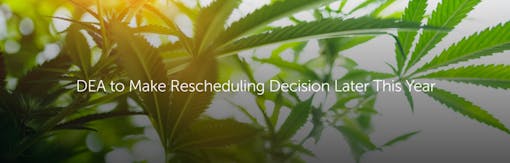 DEA to Make Rescheduling Decision Later This Year