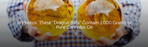 In Photos: These "Dragon Balls" Contain 3,000 Grams of Pure Cannabis Oil
