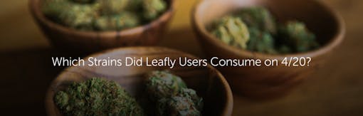 Which Strains Did Leafly Users Consume on 4/20/2016?