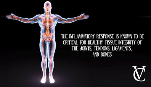 Why is your body's inflammatory response so crucial?