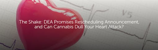 The Shake: DEA Promises Rescheduling Announcement, and Can Cannabis Dull Your Heart Attack?
