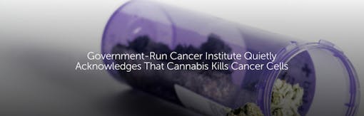 Government-Run Cancer Institute Quietly Acknowledges That Cannabis Kills Cancer Cells