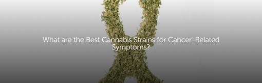 What are the Best Cannabis Strains for Cancer-Related Symptoms?