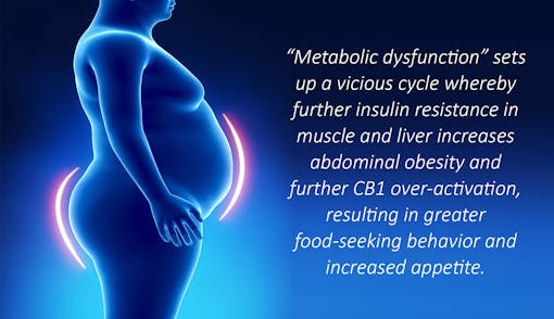 metabolic dysfunction's influence on appetite and weight loss