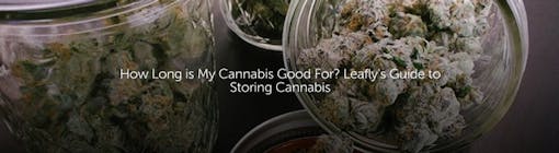 How Long is My Cannabis Good For? Leafly's Guide to Storing Cannabis