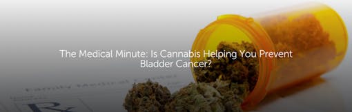 The Medical Minute: Is Cannabis Helping You Prevent Bladder Cancer?