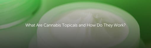 What are Cannabis Topicals and How Do They Work?