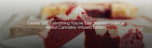 Edibles 101: Everything You've Ever Wanted to Know About Cannabis-Infused Edibles