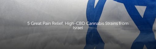 5 Great Pain Relief, High-CBD Cannabis Strains From Israel
