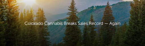 Colorado Cannabis Breaks Sales Record — Again
