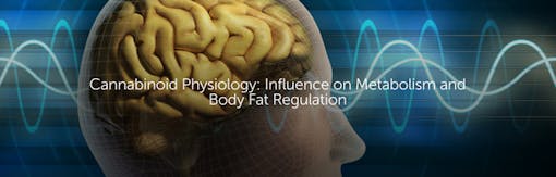 Cannabinoid Physiology: Influence on Metabolism and Body Fat Regulation