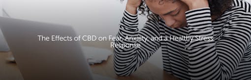 The Effects of CBD on Fear, Anxiety, and a Healthy Stress Response