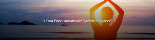 Is Your Endocannabinoid System in Balance?