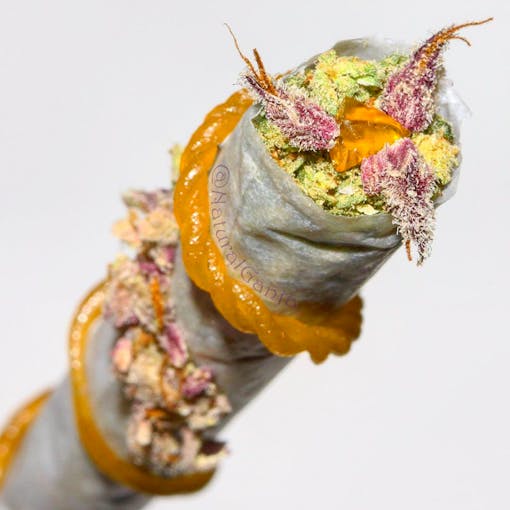 Cannabis joint with dried cannabis exposed at the tip and cannabis oil wrapped around the joint