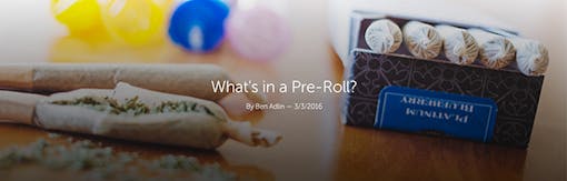 Leafly "What's in a Pre-Roll" Header Image