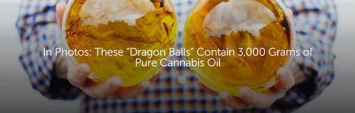 In Photos: These “Dragon Balls” Contain 3,000 Grams of Pure Cannabis Oil